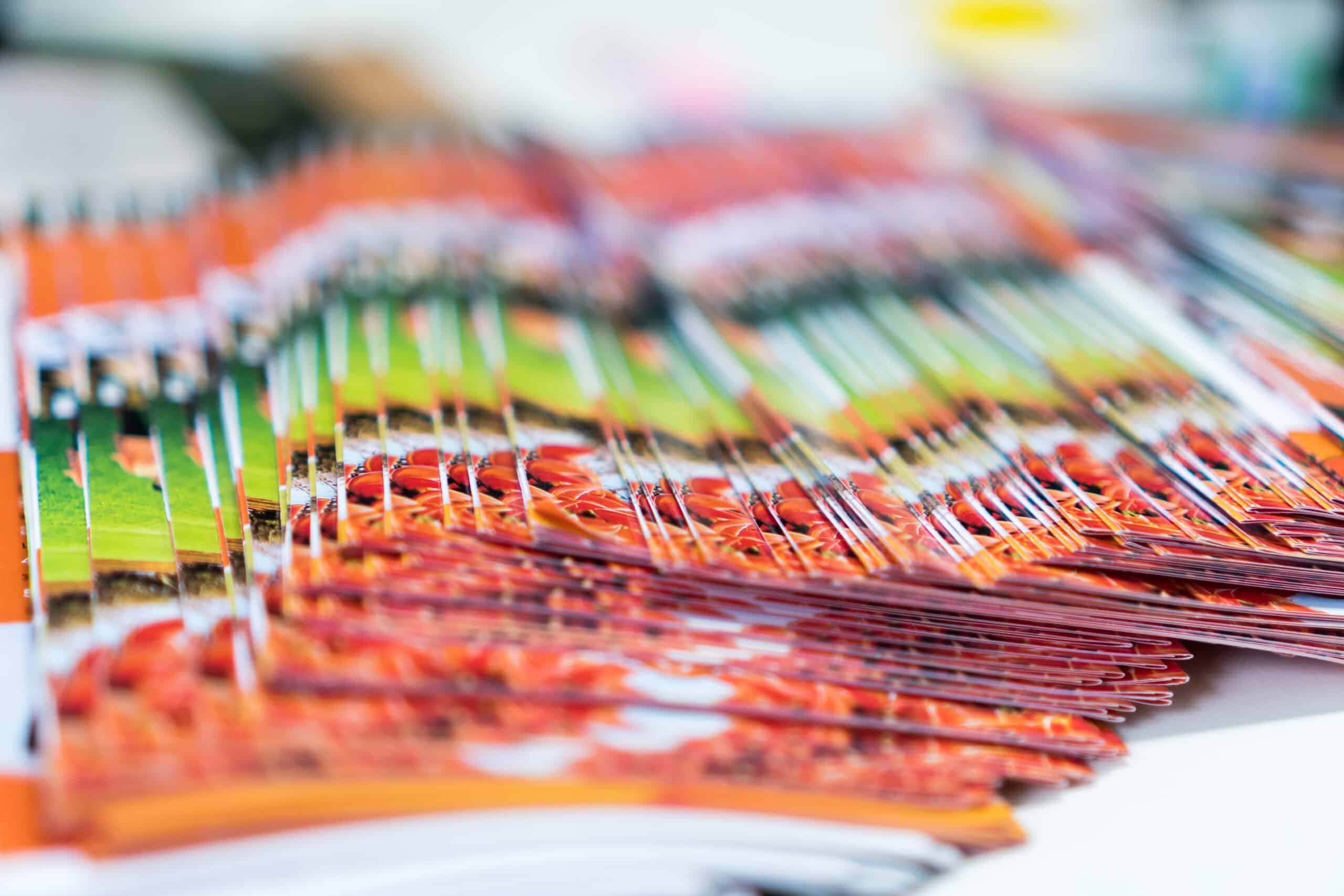 Business Brochure in Documents